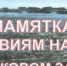 Администрация Малосердобинского района обращается к жителям района с напоминанием основных правил поведения при половодье - Малосердобинский район