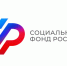 Какие меры поддержки могут получать мамы от Отделения СФР по Пензенской области - Малосердобинский район