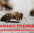 Внимание Пчеловодов! Обработка полей! - Малосердобинский район