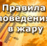 «Десять правил поведения в жаркую погоду». - Малосердобинский район