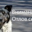 Уважаемые жители! - Малосердобинский район