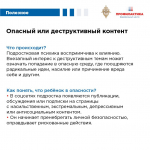 Красные флаги в социальных сетях  подростков
