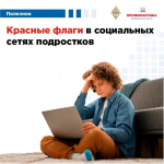 Красные флаги в социальных сетях  подростков