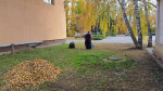 Сотрудники районного Дома культуры приняли участие в субботнике