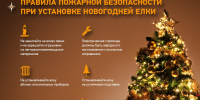 Правила пожарной безопасности при установки новогодней елки - Малосердобинский район