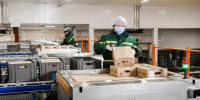 «Дамате» увеличила производство продукции глубокой переработки индейки на 21% в 2025 году - Малосердобинский район