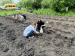 Лицеисты приняли участие в субботнике.