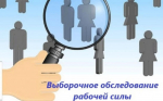 Выборочное обследование рабочей силы